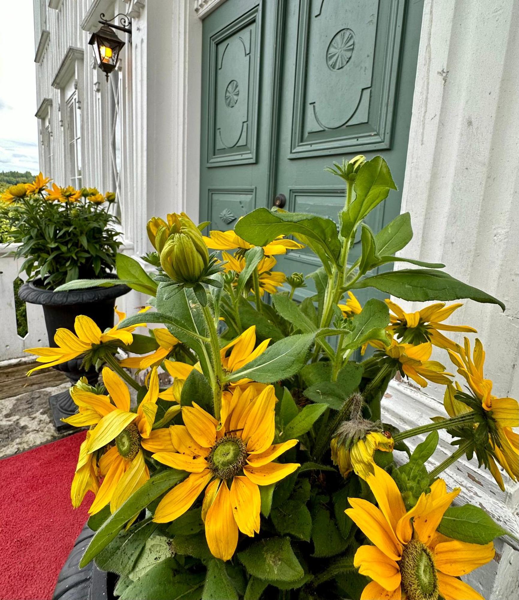 Kinna Bed & Breakfast Eksteriør bilde